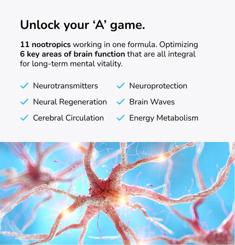 【Mind Lab Pro® Site】 Universal Nootropic™ Brain Booster Supplement for Focus, Memory, Clarity, Energy - 60 Capsules - Plant-Based, Naturally Sourced Memory Vitamins for Better Brain Health