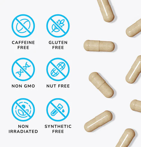 【Mind Lab Pro® Site】 Universal Nootropic™ Brain Booster Supplement for Focus, Memory, Clarity, Energy - 60 Capsules - Plant-Based, Naturally Sourced Memory Vitamins for Better Brain Health